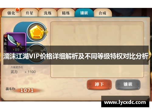 濡沫江湖VIP价格详细解析及不同等级特权对比分析